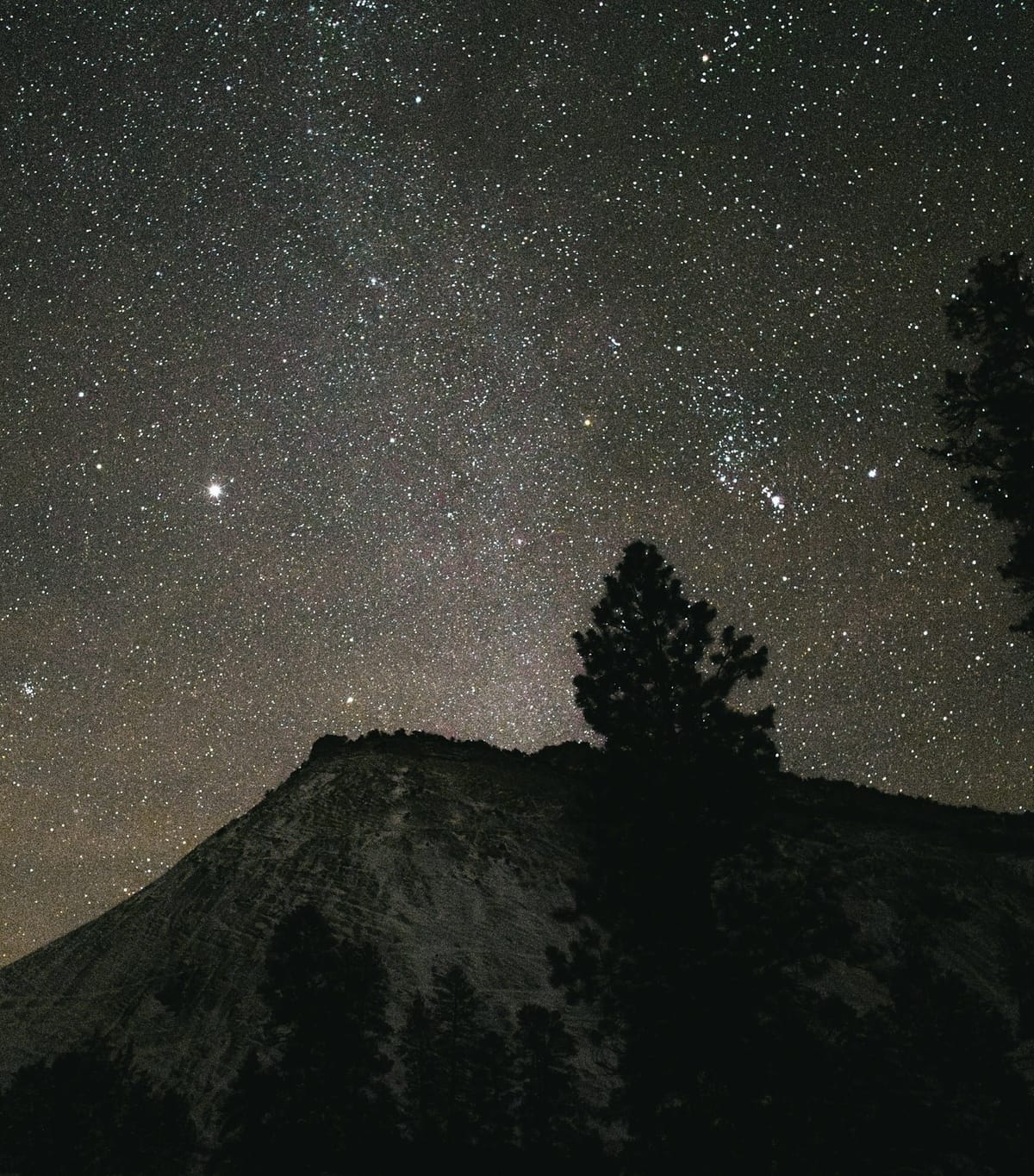 The Power of Staying